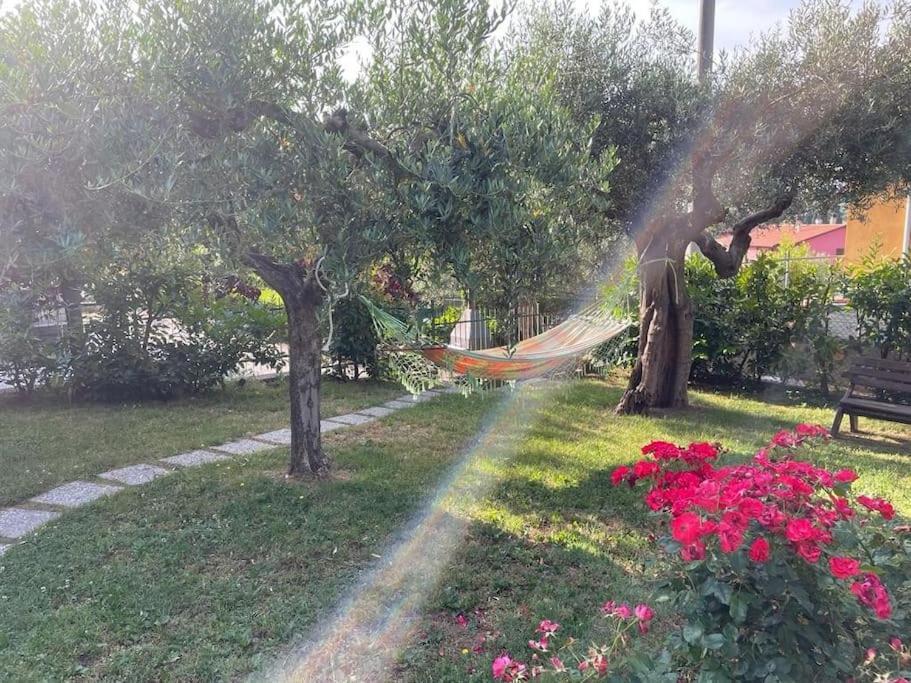 La Dimora Delle Rose Apartment Passignano sul Trasimeno Ngoại thất bức ảnh