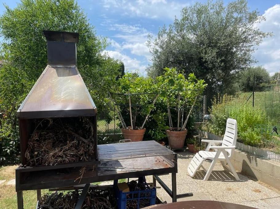 La Dimora Delle Rose Apartment Passignano sul Trasimeno Ngoại thất bức ảnh