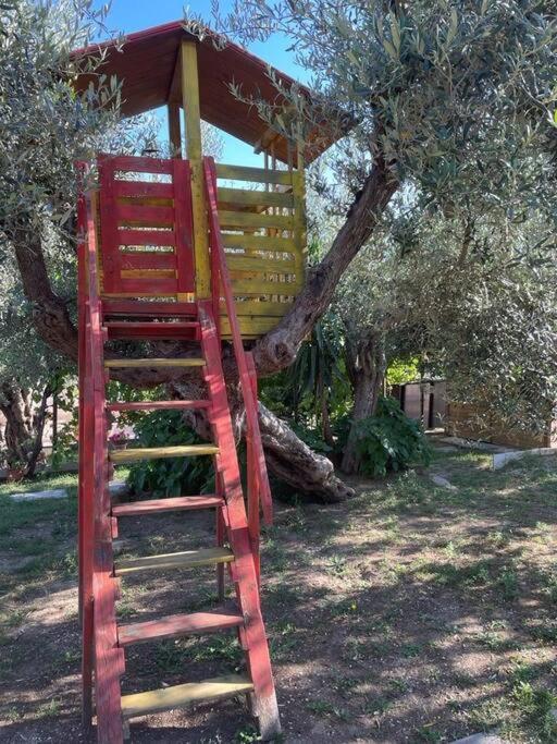 La Dimora Delle Rose Apartment Passignano sul Trasimeno Ngoại thất bức ảnh