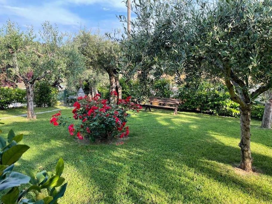 La Dimora Delle Rose Apartment Passignano sul Trasimeno Ngoại thất bức ảnh